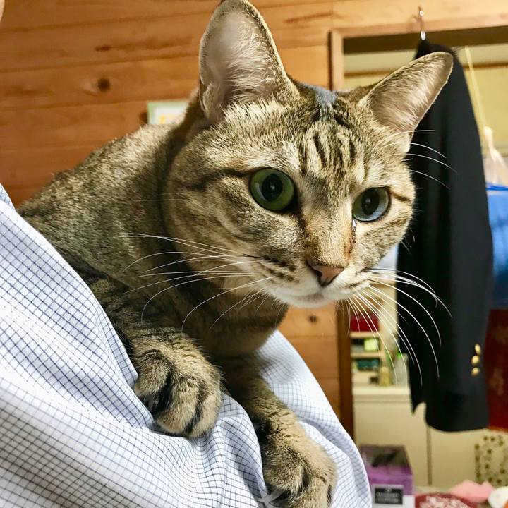 Dd86d635 e98e 4fa2 83af 074222f50c02 1510615628505