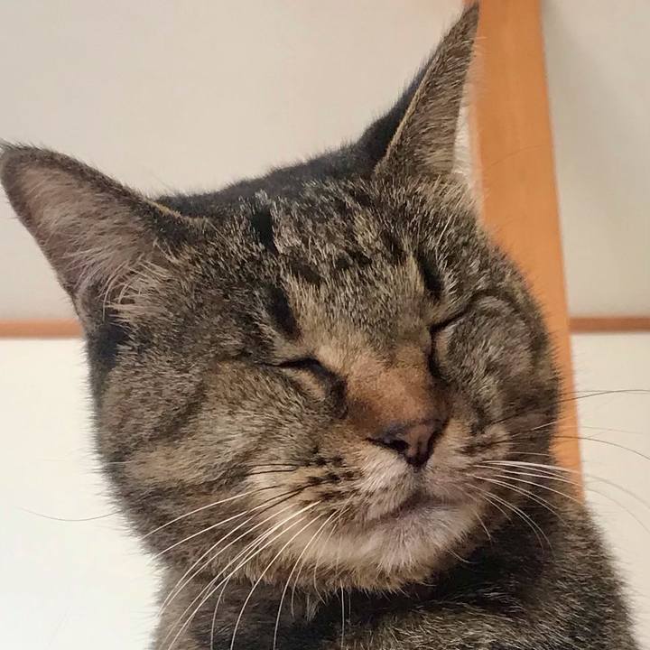 Dd86d772 2ec5 468d a7c2 4c1c52fa613a 1610260940430