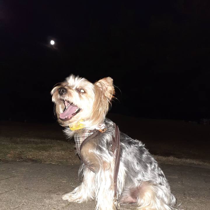 Dd87071d 2a6f 40ab a729 8cf55b941097 1662808745577