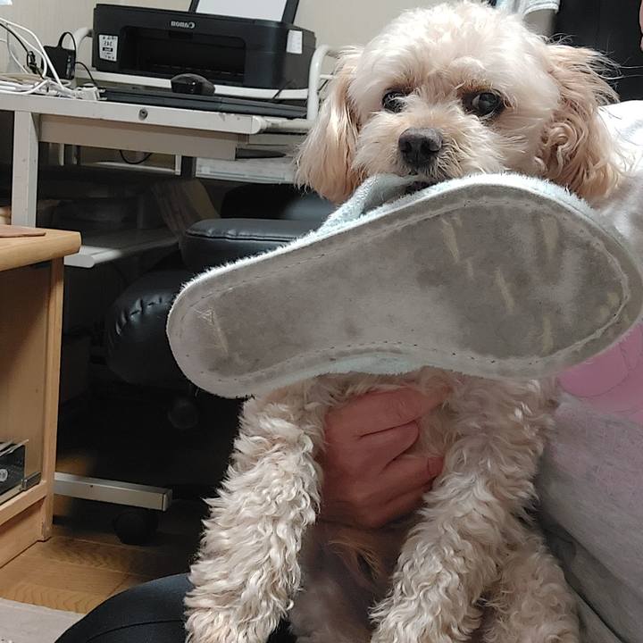 Dd8711e9 1ee9 409d ac63 ce6331387e59 1658664806487