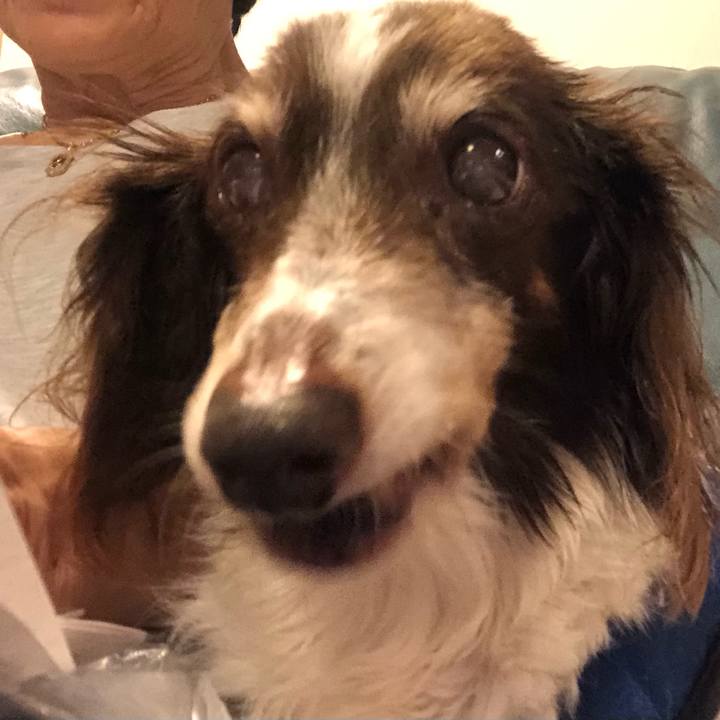 Dd8744db 09f4 45a1 9202 0f564dee2e42 1626699188856