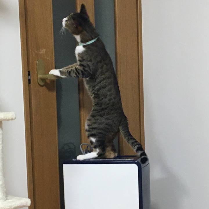 Dd874ac6 0de1 4938 863e 193512ddaa4a 1697519195700