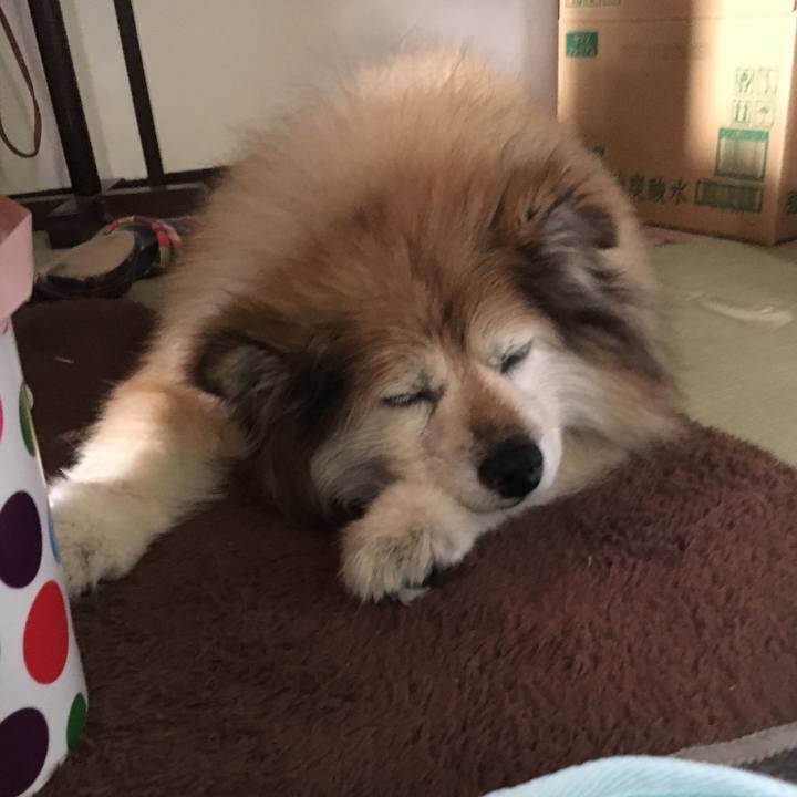 Dd876be8 7936 40c3 b426 7e99e991defb 1610579393155