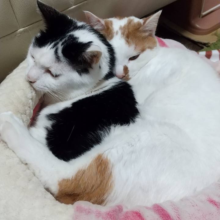 Dd876f47 f20b 4e92 b0ad fd8133519dd4 1706172886237