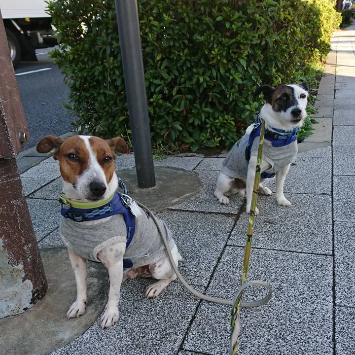 Dd87770a 6455 48af babb ff7b37c02dd6 1570571679861