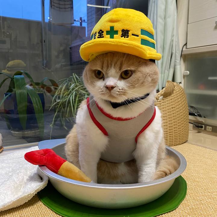 Dd881bfb 7a1d 4f2a a620 96584aad343e 1599968674401