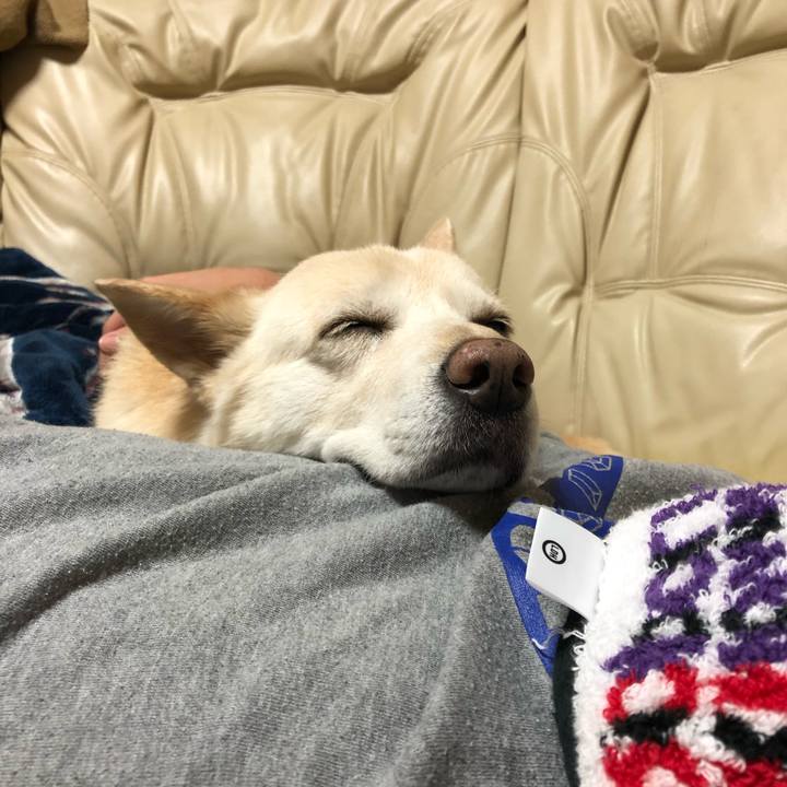 Dd886c58 7249 4c39 b974 36cf97aee34b 1574163744510