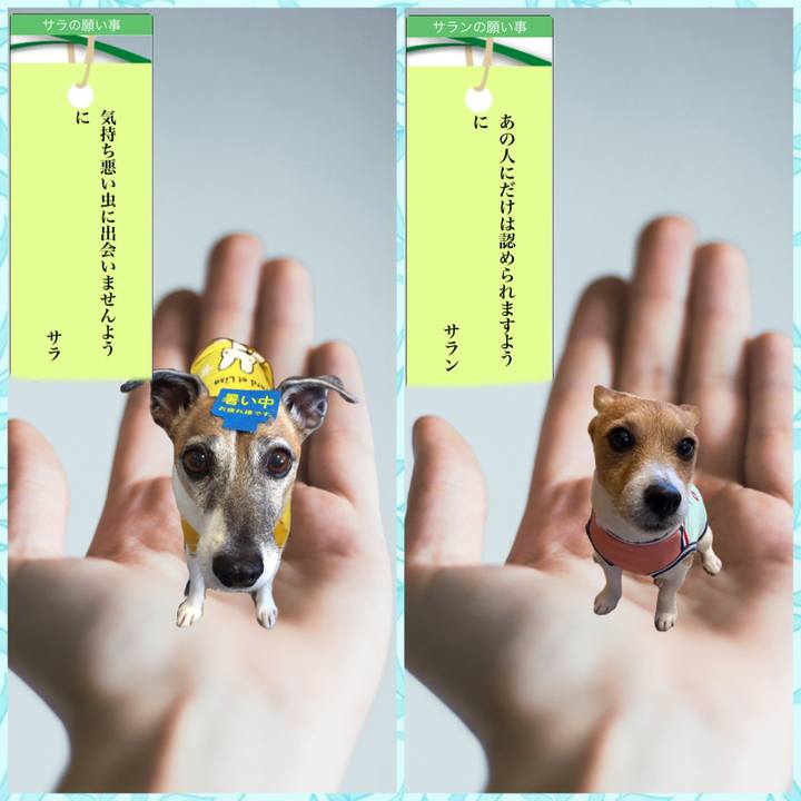 Dd88c4cc 39e5 4548 a534 f1ea7213a509 1594105015785