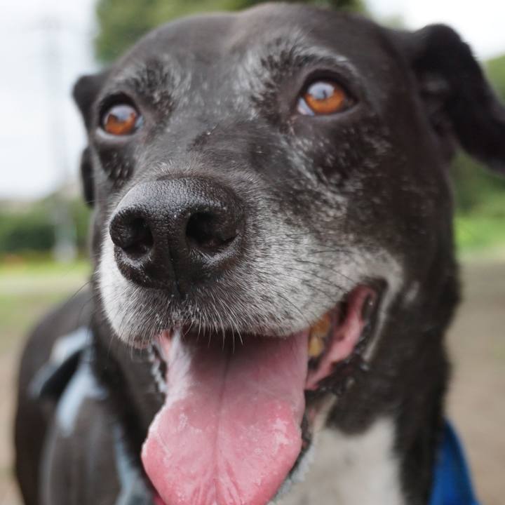 Dd892edb 1fef 401a 82be 38a5c7c948e4 1754870219441