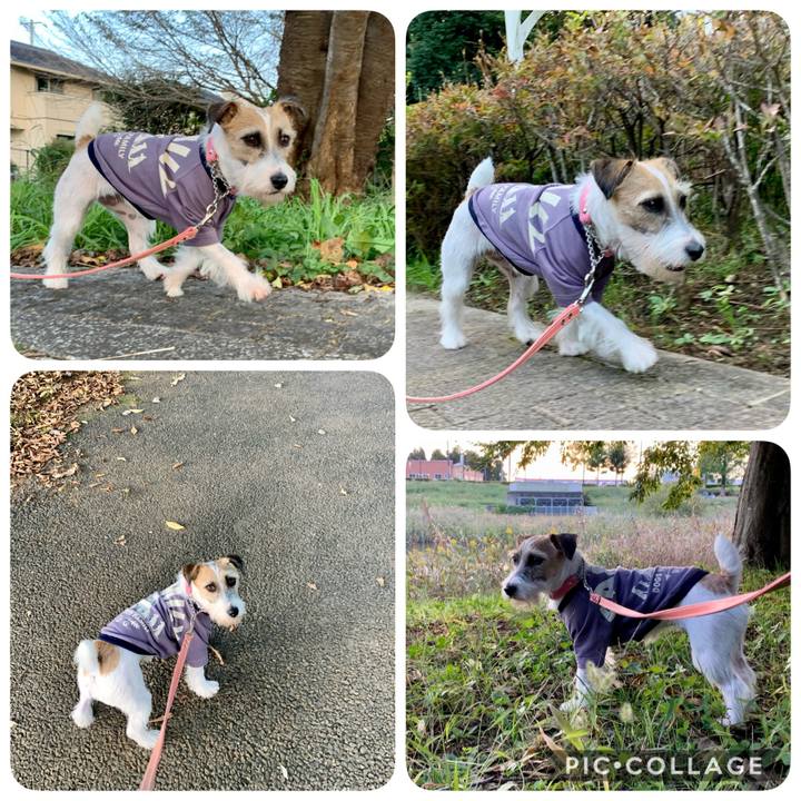 Dd89339d 0731 4b42 a929 e6047d03c8f9 1603703486690