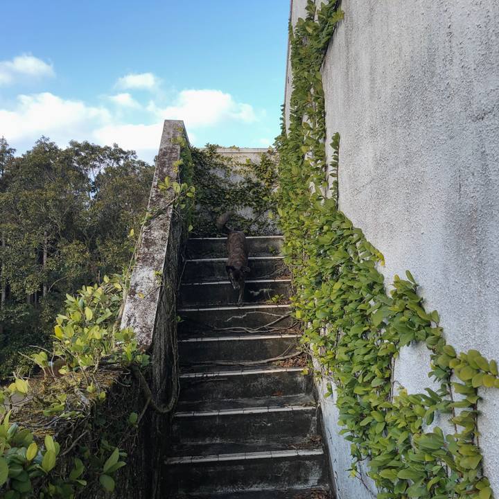 Dd894af7 aad8 4d0d 843d 33862639e398 1581000475237