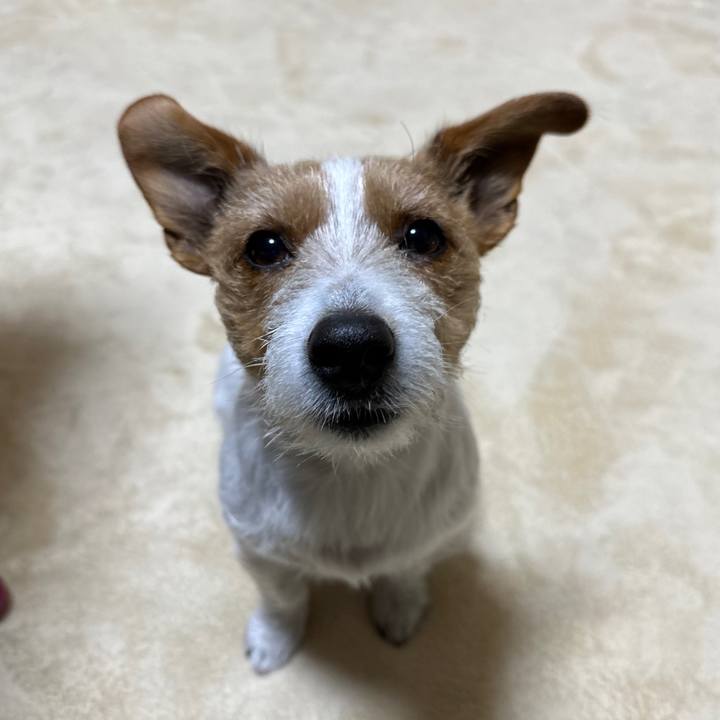 Dd895d7a c968 47d6 ab7b 8dc29938b830 1770330414655