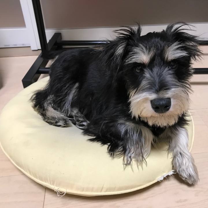 Dd89761e 5492 4ab9 b48b abb4943fa178 1554215809973