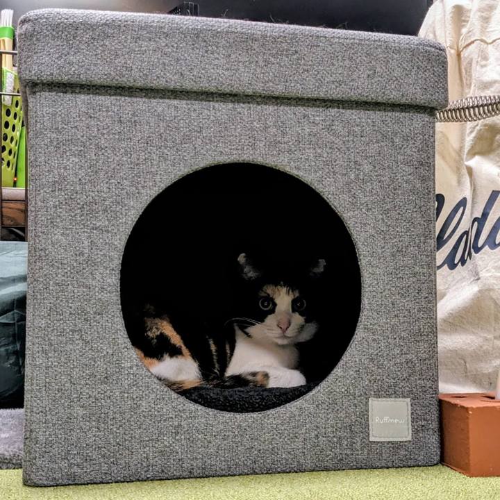 Dd899078 d7ce 4da6 851c 65c7dce2f590 1761831897048