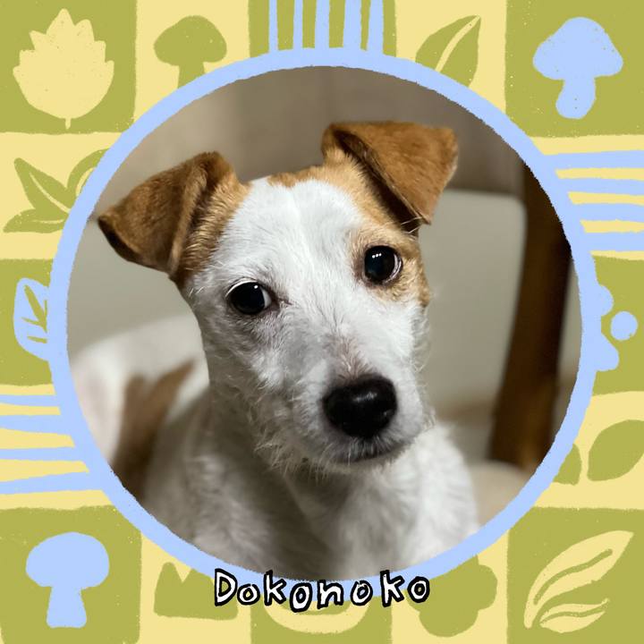 Dd89b854 e58f 4fc9 9689 58f08ed9cd23 1761739901163