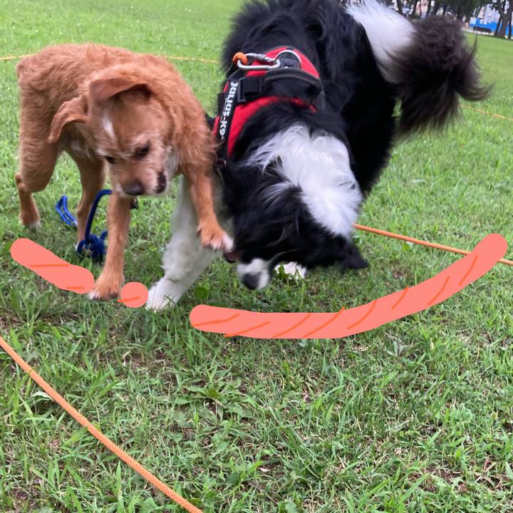 Dd89e995 d360 456a 8cc8 780367dd3b0d 1626267428871