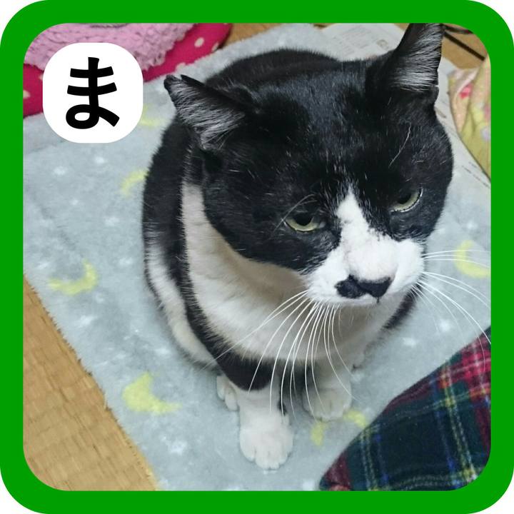 Dd8a31fe 6314 4dd6 b621 0b339fd40981 1515123344204