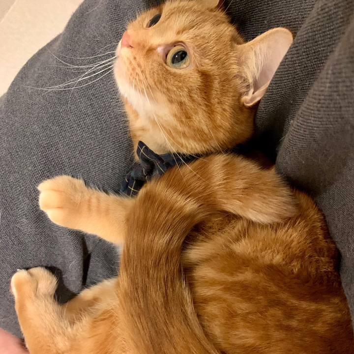 Dd8a5a0c 140a 46f0 9c75 aa79ac896da3 1581388832304