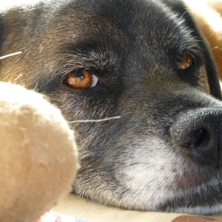 Dd8a76dc 097e 4c47 aa3c 8c1f012ceea2 1578669652970