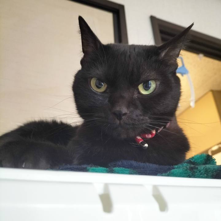 Dd8a7d60 62bb 4aba bb9d d0a779ae9865 1671489277538