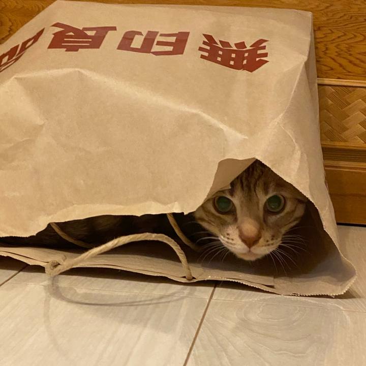 Dd8aaf42 5e61 4adf 904e e13383b7c6d3 1614258838084