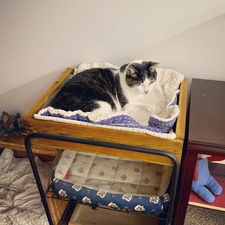 Dd8ad5e8 a9a9 4f43 b0b6 c56aef0c5196 1620307883955