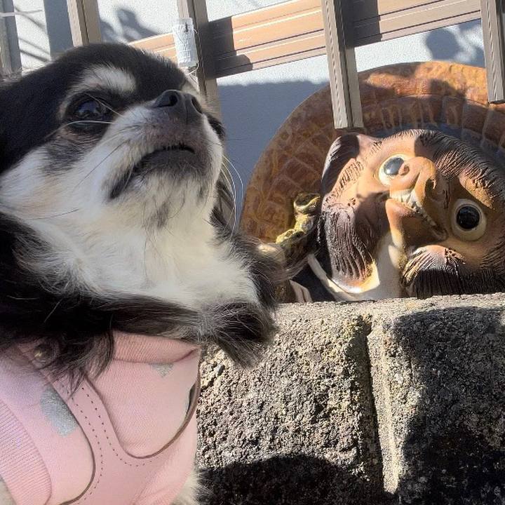 Dd8ae037 7c3b 4107 b8a4 7eb1b948198d 1697067414027