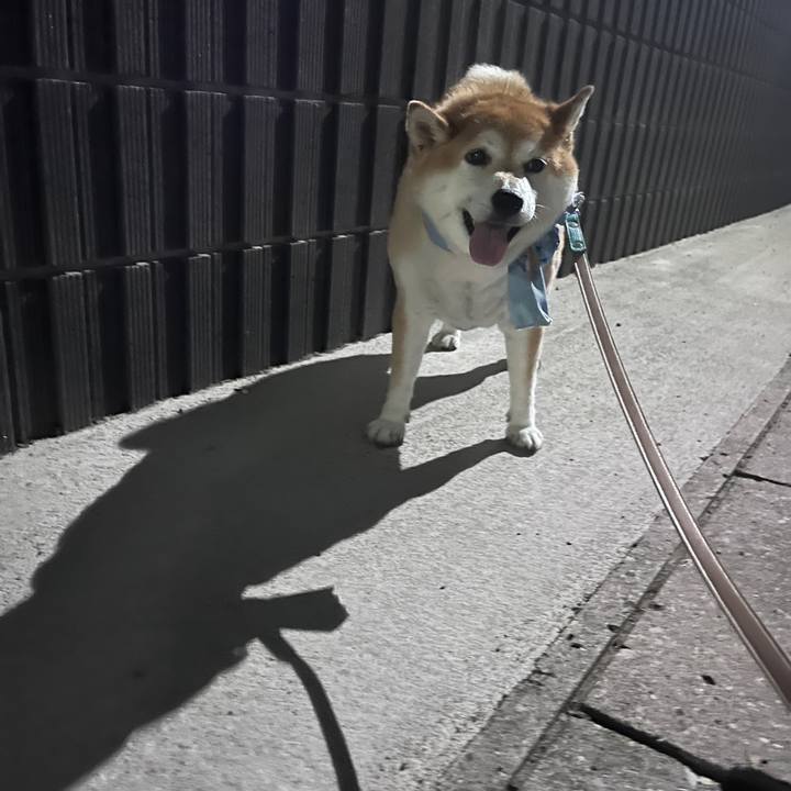 Dd8ae6f2 53ee 4b0f 91c4 f02ac2a85b87 1720436658766