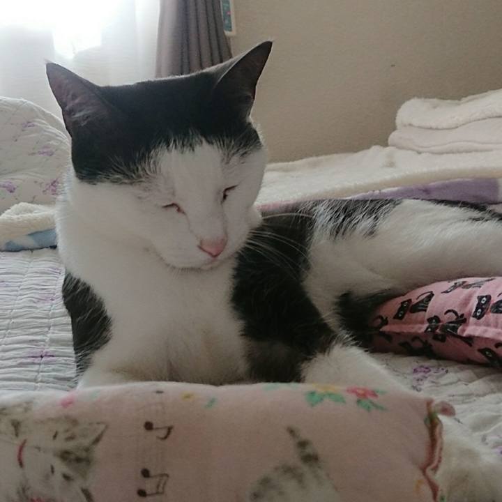 Dd8ae914 c17b 406a bf81 d1e6b7bd1b49 1508678112033