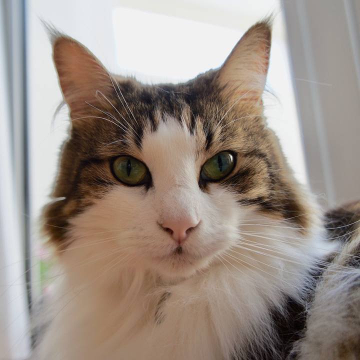 Dd8afddc 4746 451b ba75 17aad295d8b9 1534238804713