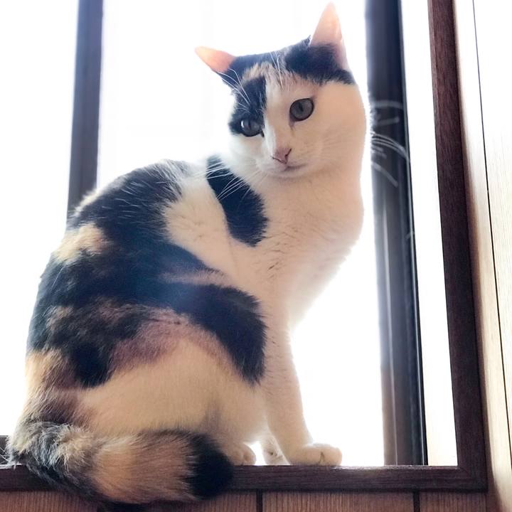 Dd8b0c45 5011 41c4 aed5 c7991a3a6a70 1523324918632