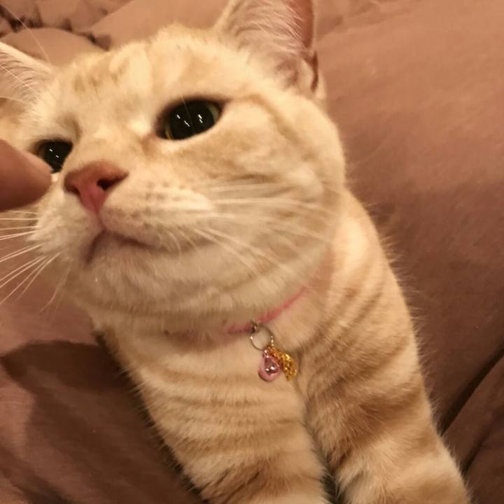 Dd8b2ae1 d891 44e1 aa54 08134648556b 1515468495192