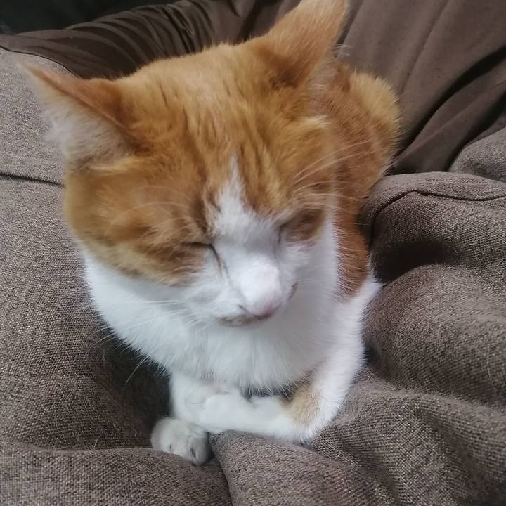 Dd8b3142 c3a6 4df0 a5db 93b1aca9a11d 1642682947915