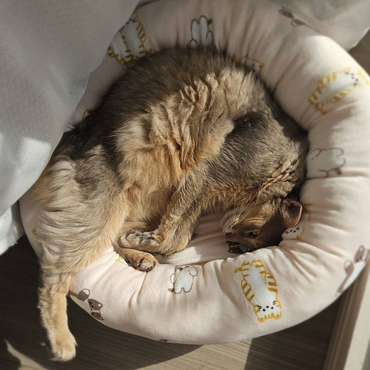 Dd8b4fda 76ad 4815 ac7a 6576f1966297 1774568156853