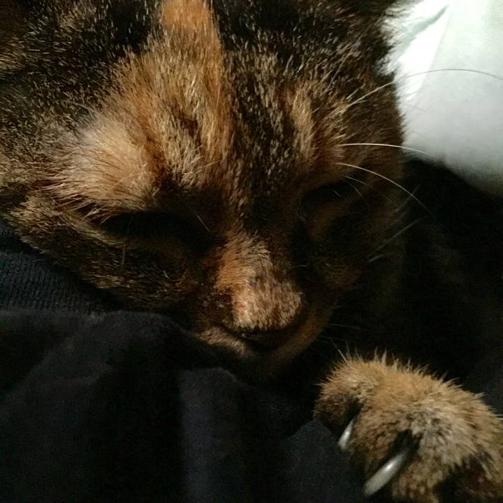 Dd8b68ab 7d44 48de 8d21 f26b4cbaa1fa 1631051074466