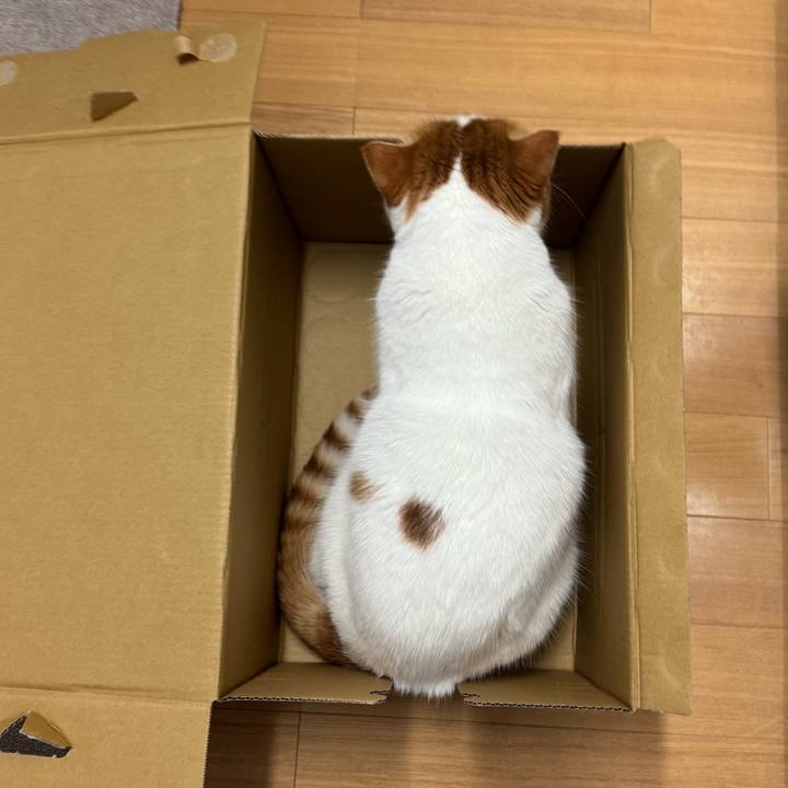 Dd8bbe69 1d06 473b 9d0e 5c5dff3634fe 1766982408859