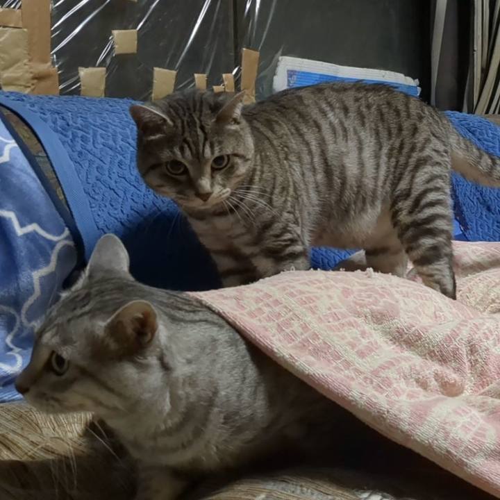 Dd8be6db e056 41ba a6ae cd7b415e9a36 1701188595094