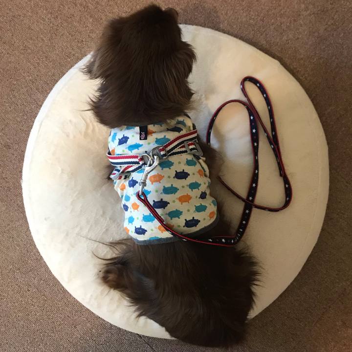 Dd8c4b80 2e0a 44db b097 22f1612a81a7 1564097915826