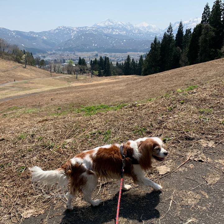 Dd8c5340 98c4 49c0 8abd bb7134059604 1618888848510