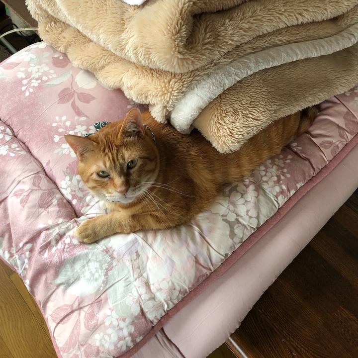 Dd8c62bb 0c59 47d5 9593 3db0a2286d46 1557107472182