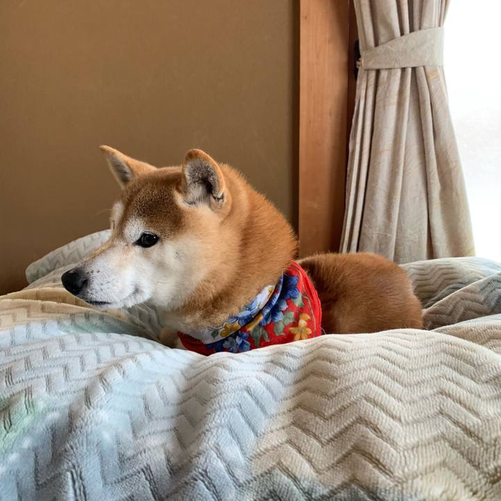 Dd8c6d78 da28 4e9e 9439 f83e0b54d0e5 1610105894193