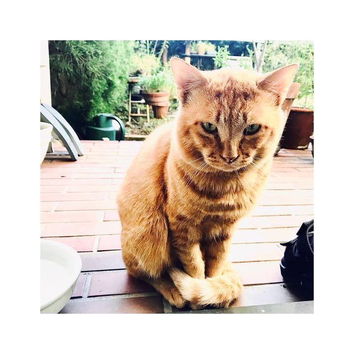 Dd8c90ca 17d4 45fd 8b17 8a3a3da4f3f1 1664370829135