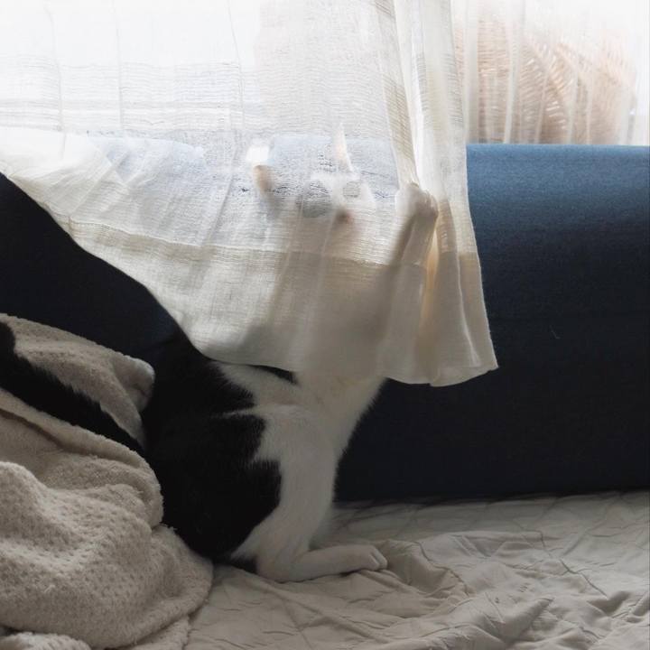 Dd8c973d 1180 4be9 9ae1 ab0dff3eb2d0 1698558844819