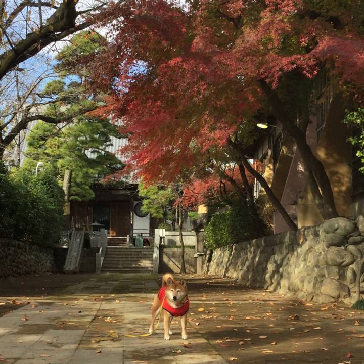 Dd8cd18c 961d 4023 8b15 c87769f1fae1 1575190813767