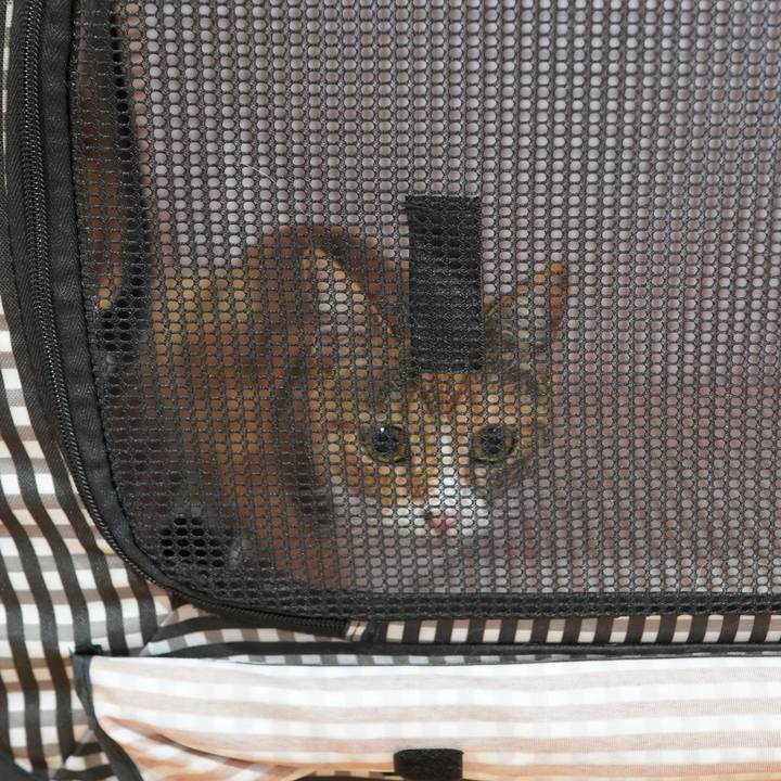 Dd8cd9e9 a22b 40af b75f 4401cec3ffbb 1594030132710