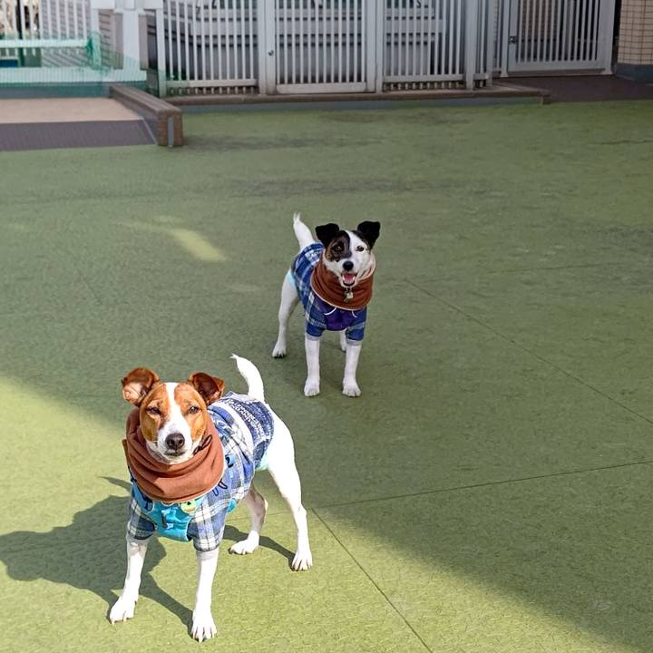 Dd8d2204 5779 47c3 ae92 74057237604f 1675755863467