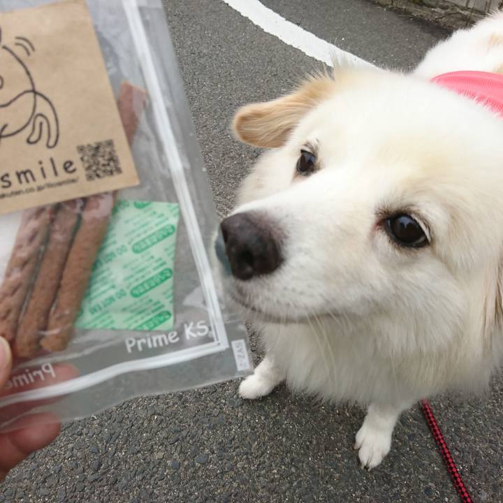 Dd8d907f f9c5 4d55 b1a7 46270859b322 1535579636187