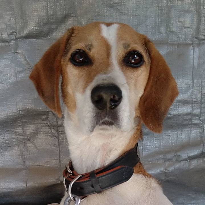 Dd8e47cc 9ba6 4838 8614 f237d73ea058 1662220872332