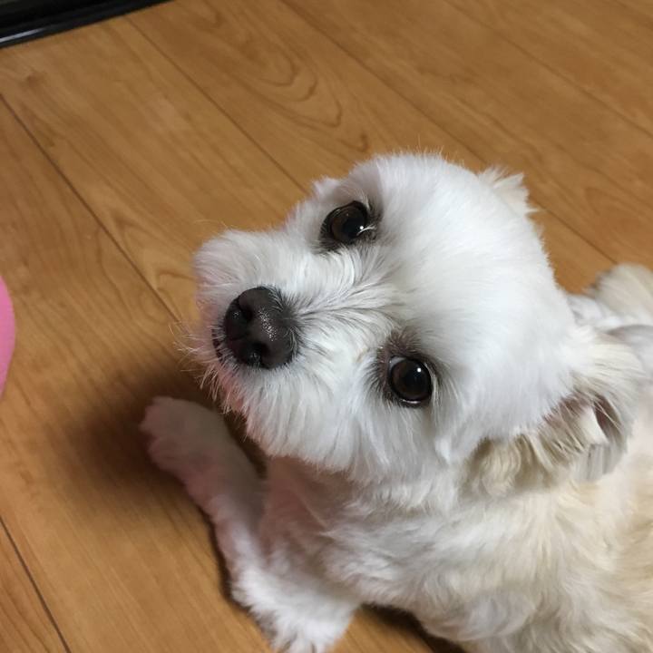 Dd8e723a 4840 46af a46f 18111d62928c 1513600166915