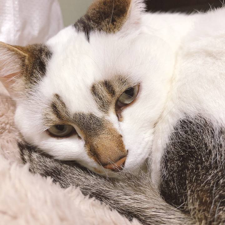 Dd8ea02e 6511 4b88 af4b dd62d4639060 1645535005952